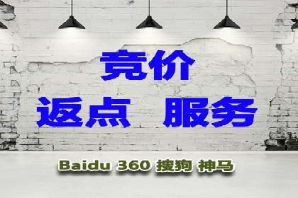 某科技公司如何利用百度竞价排名服务提升品牌知名度